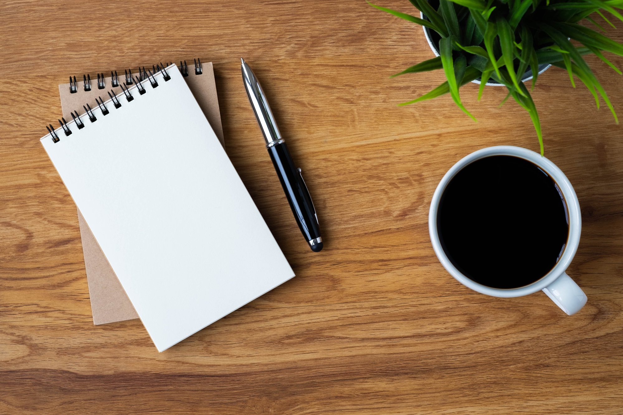coffee-notebook-contact-paul-shattuck