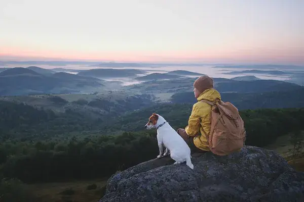A person and a dog sit peacefully on a mountain ledge at sunrise, symbolizing self-compassion and quiet strength.