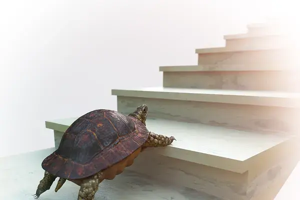 A turtle slowly climbing a staircase, symbolizing persistence, resilience, and small steps leading to progress