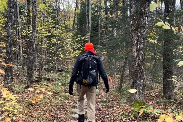 Person walking through an autumn forest path, symbolizing personal resilience and steady progress