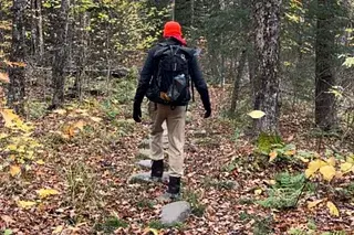 walking-through-forest-chaos-fatigue-resilience